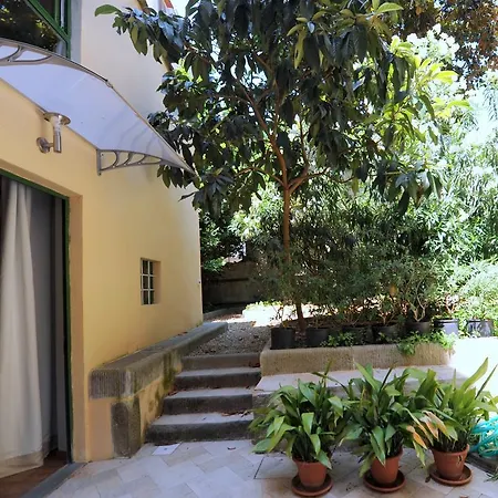 Apartment Acacia Artemisia-angelica Florence