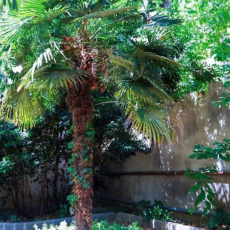 Acacia Artemisia-angelica Apartment Florence